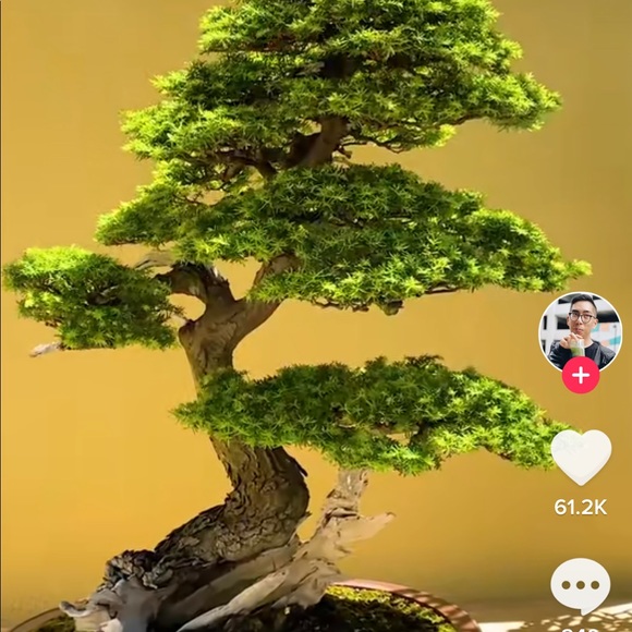 Meet your Posher, Chirag - Picture 1 of 2